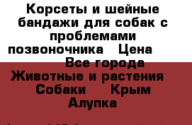 Корсеты и шейные бандажи для собак с проблемами позвоночника › Цена ­ 2 500 - Все города Животные и растения » Собаки   . Крым,Алупка